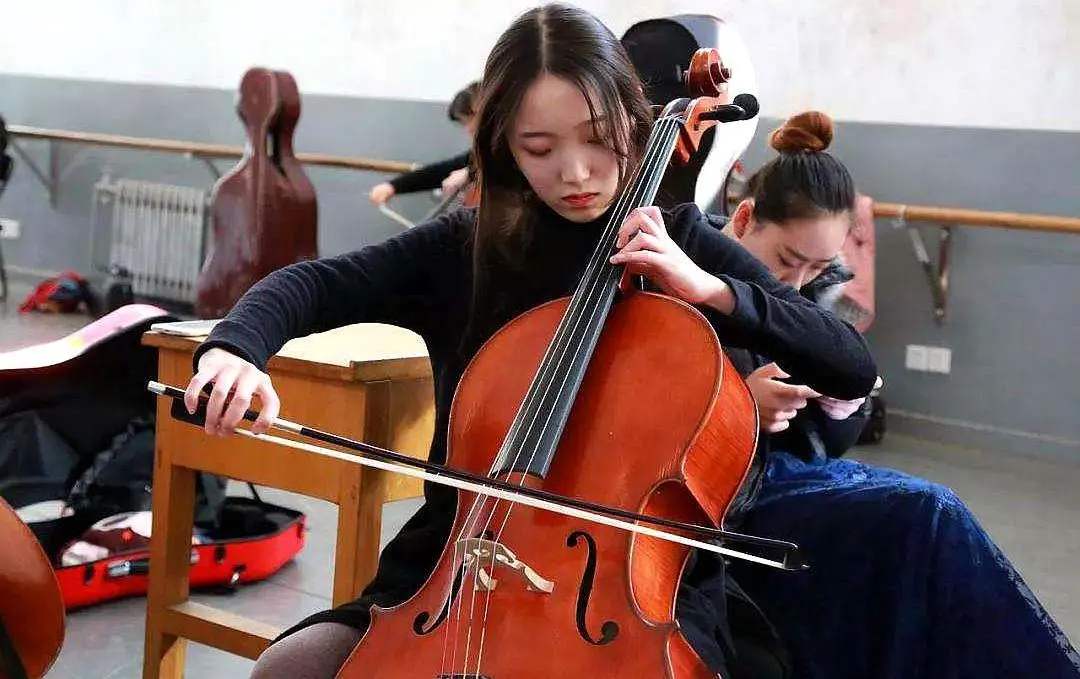 就业排行榜，艺术学专业：花最多的钱，获得“最低”的就业率