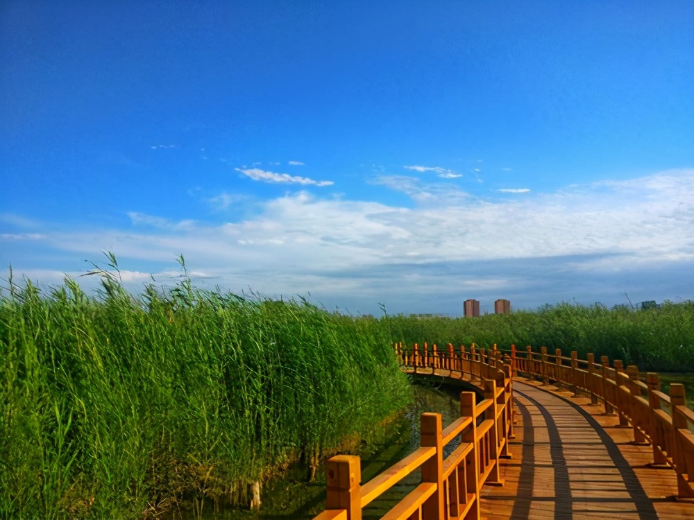 甘肃的美，只有亲临才能体会，亚洲十佳旅游胜地当之无愧