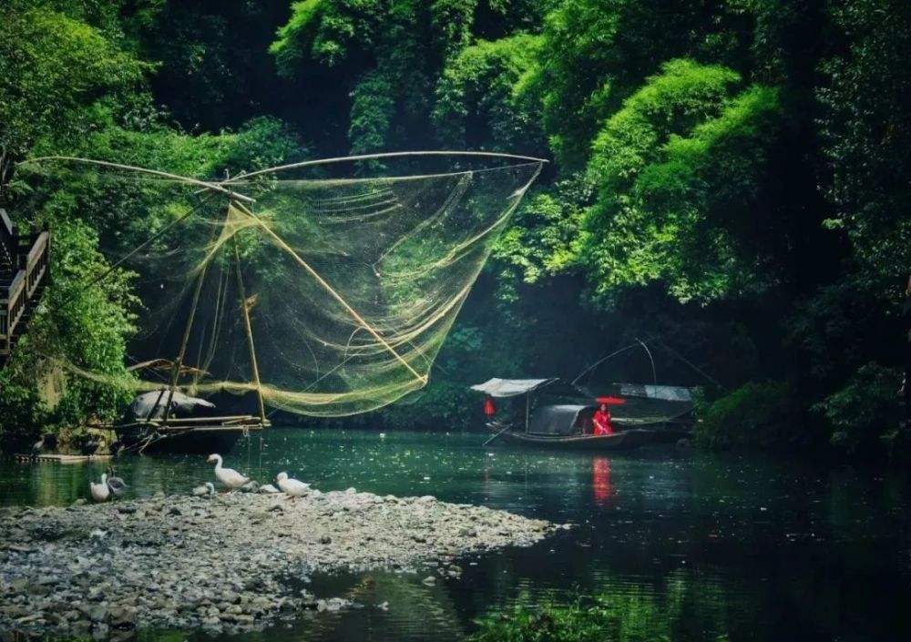 清江魚產地,清江魚產地在哪里