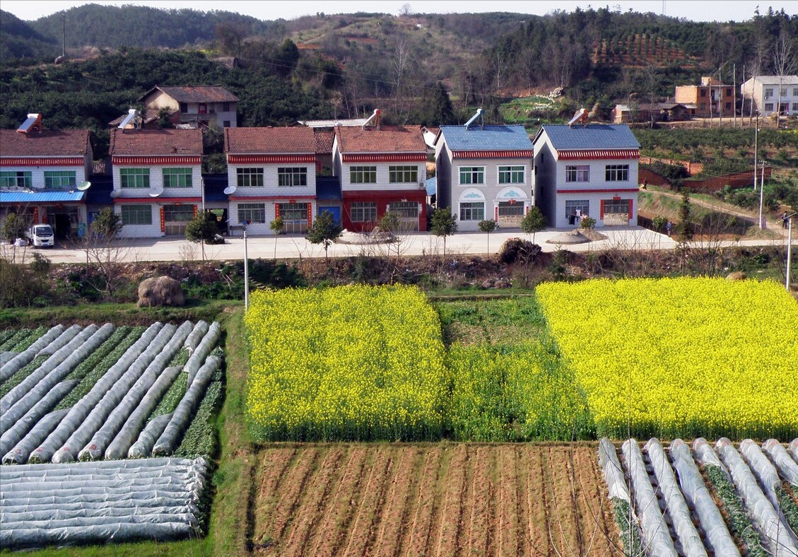 6年后，农村土地会重新分吗？无地农民如何获得土地？