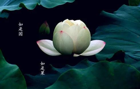 感恩词感恩师父的话佛教集锦56句