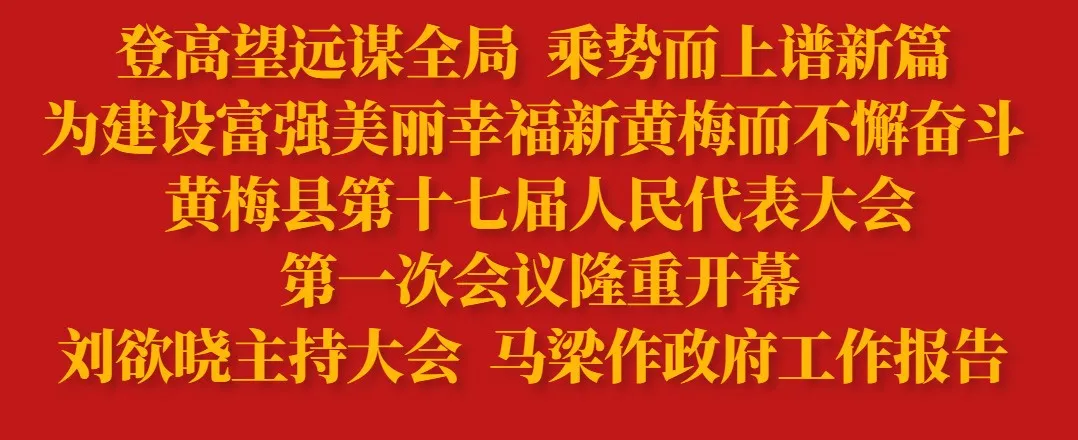 黄梅五中2017高考成绩（聚焦两会）