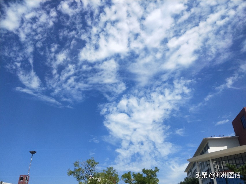 美丽的校园，威海职业学院