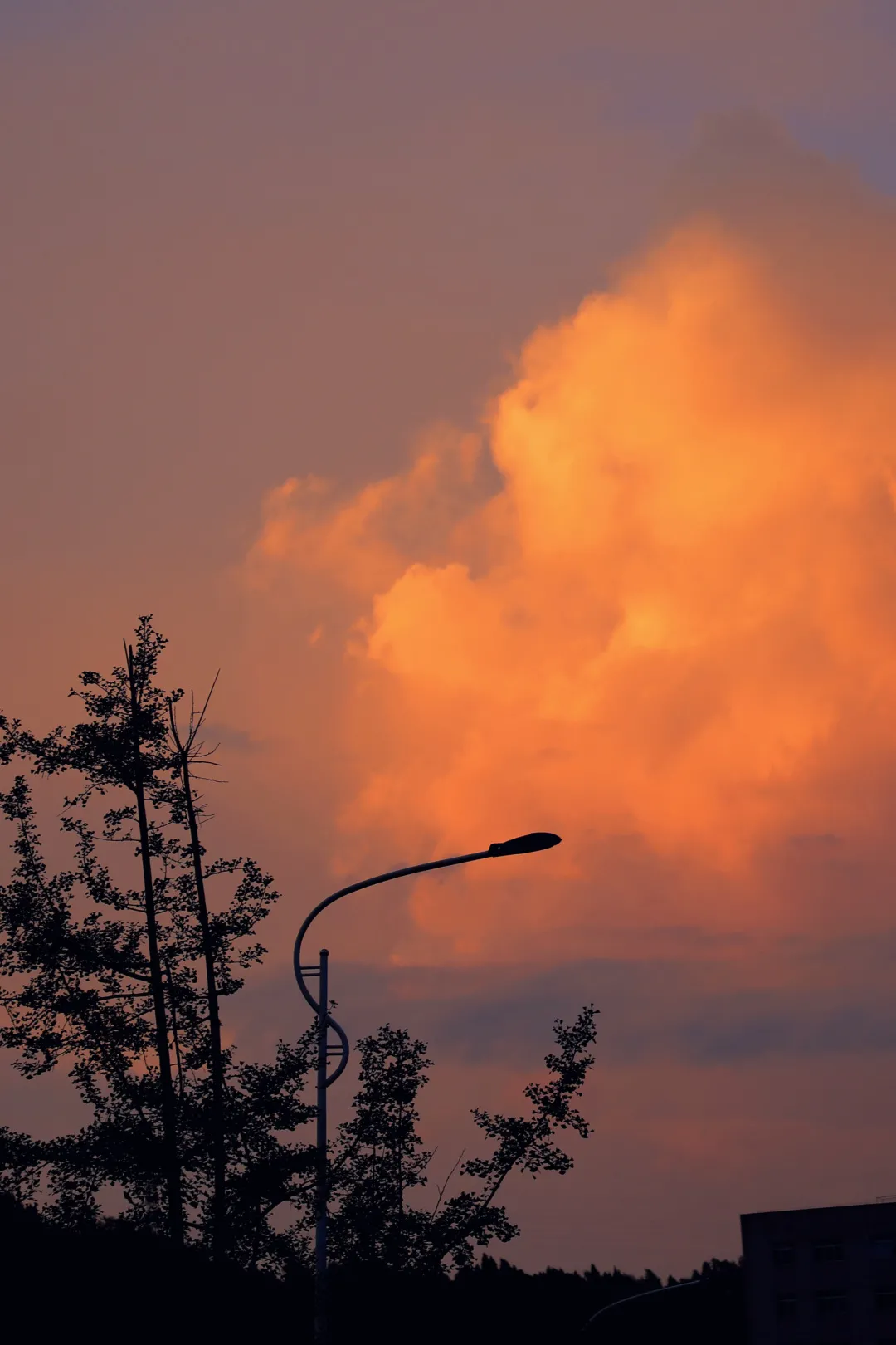 超好看！四川各高职院校专属壁纸，建议收藏
