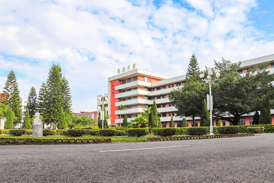 愿你出走半生，归来仍是少年