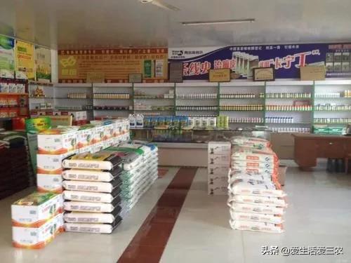 这些投资少、风险低的乡镇实体店，利润空间大，值得参考！