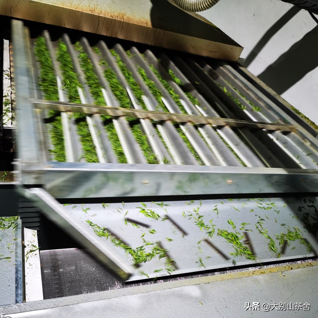 大别山采茶日记，茶季总结：茶歇犹依依，回首数峰青