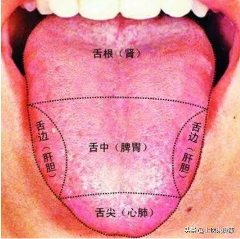 中医：有这1种舌象的人，当心癌症找上门！建议尽快做检查
