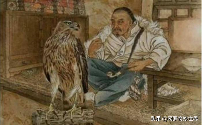 驯化鹰最残忍的方法：熬鹰！那熬鹰是什么呢？