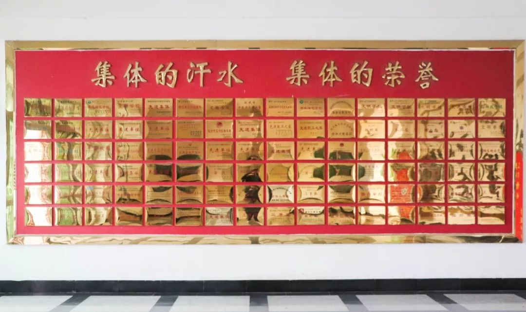 愿你出走半生，归来仍是少年