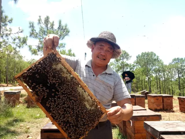 大地花间，随遇而安，养蜂人——追花寻蜜，做世间最美的旅者