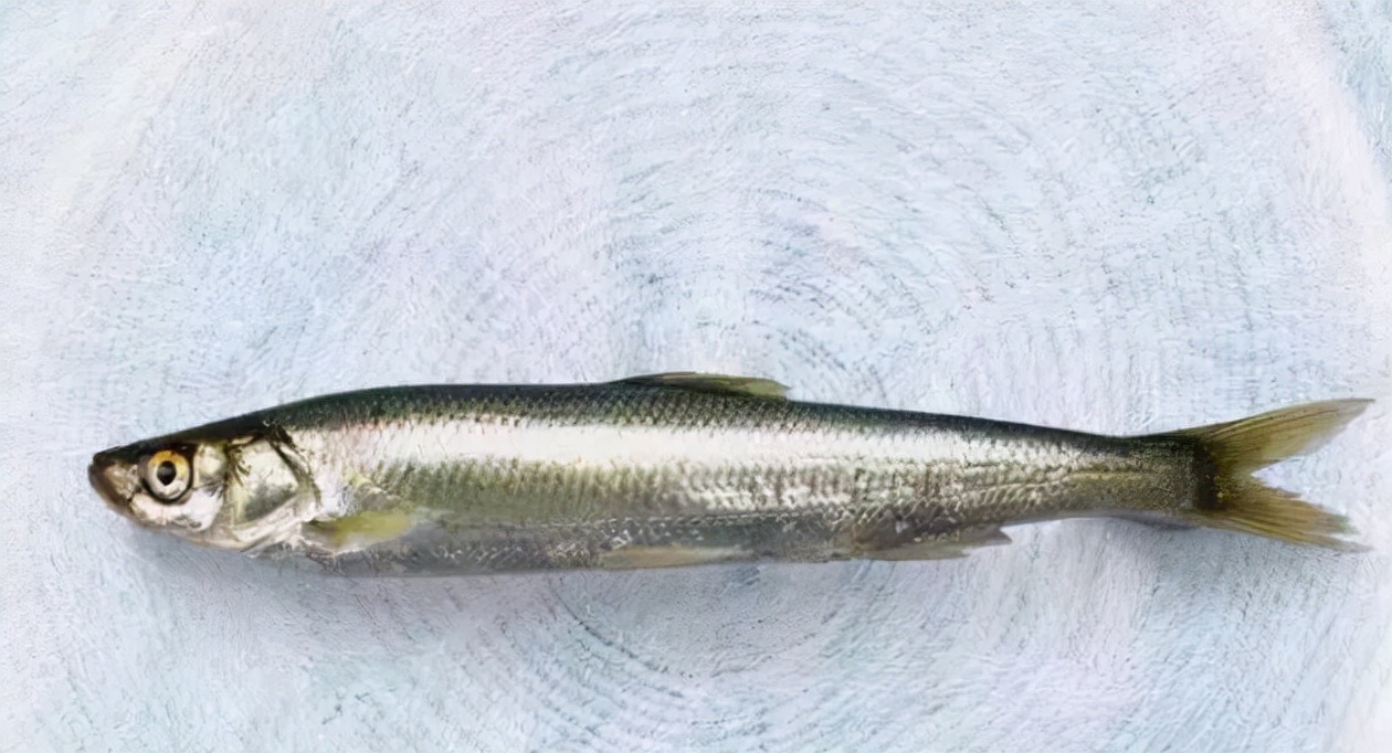 抗浪鱼:云南独有的鱼种,有"水底鸳鸯"之称,市场只按对卖云南,是一个