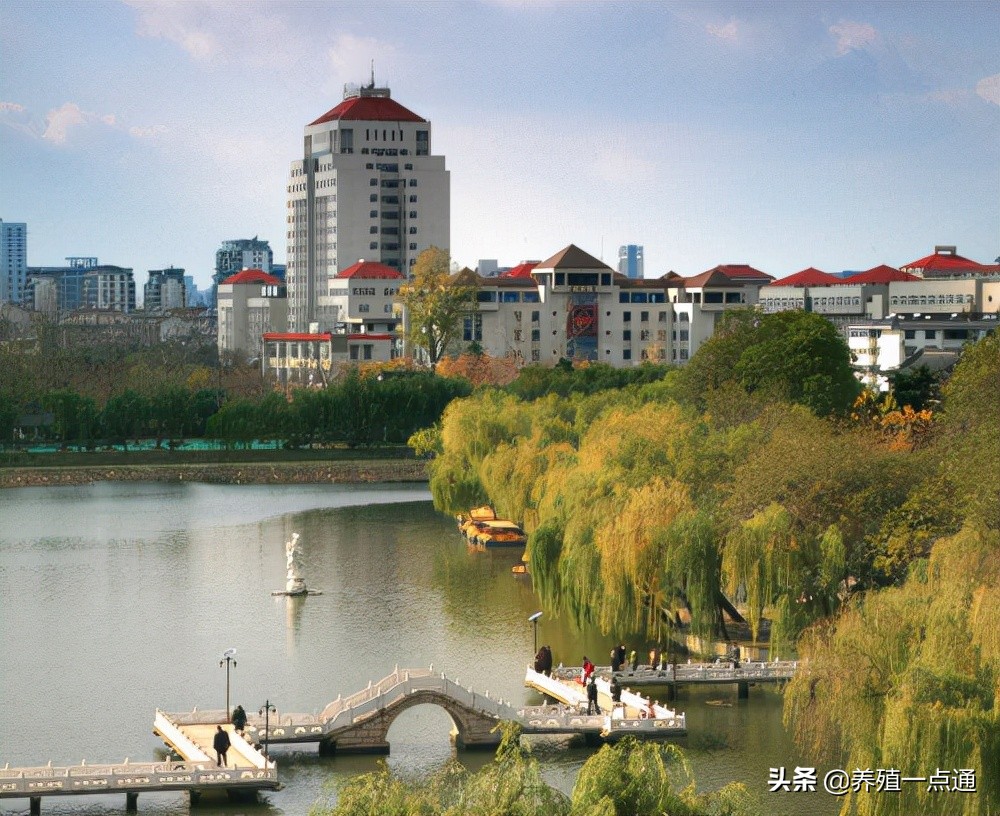 王志跃，扬州大学动物科学院教授、博导，禽业专家