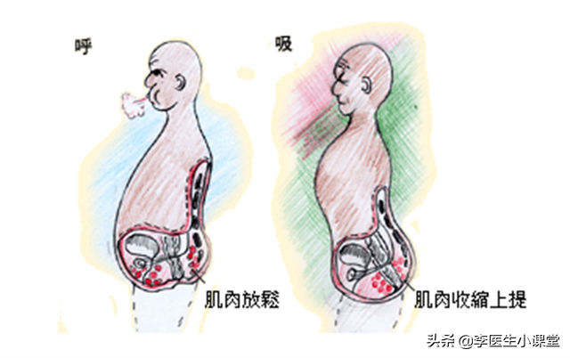 大部分人提肛运动都做错了！医生教你正确做法，常做防病治病