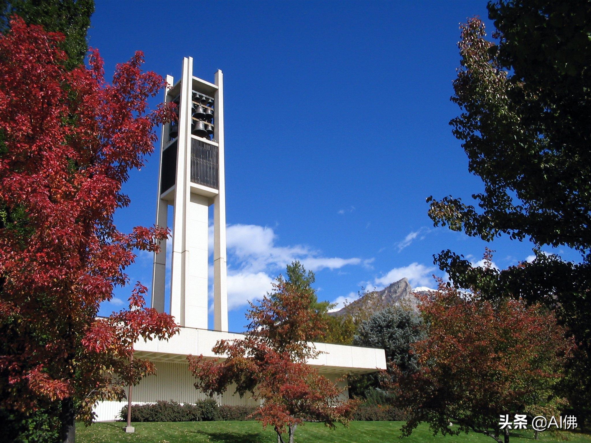 美国每个州最好的大学