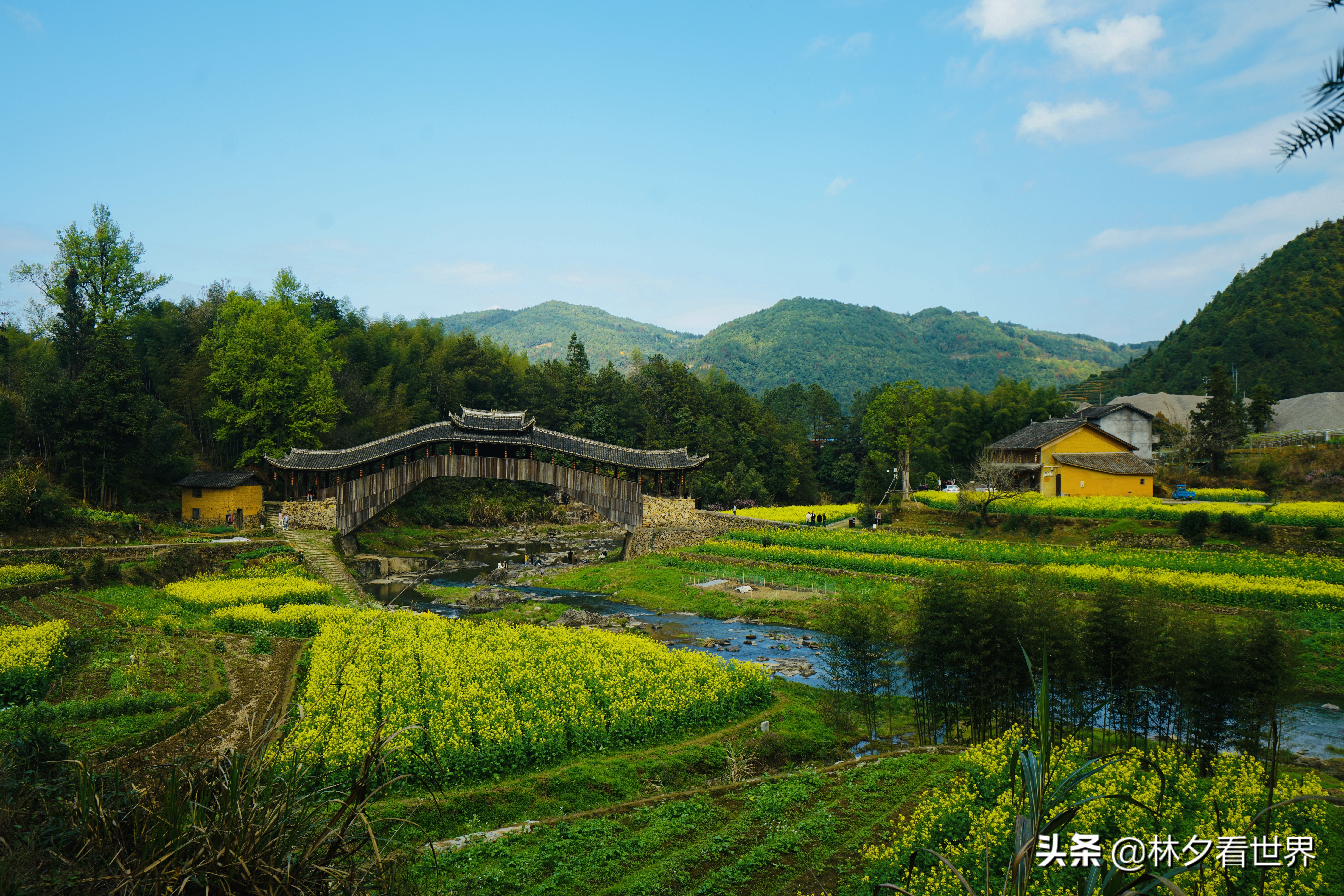 温州哪里好玩景点排名（温州市最好玩的6个景点）