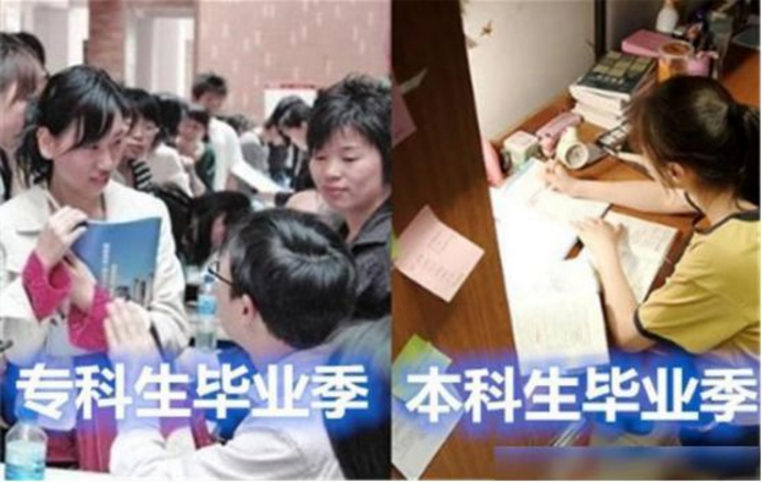 “本科生”和“专科生”有何区别？3对比图再现差别，不止一点点