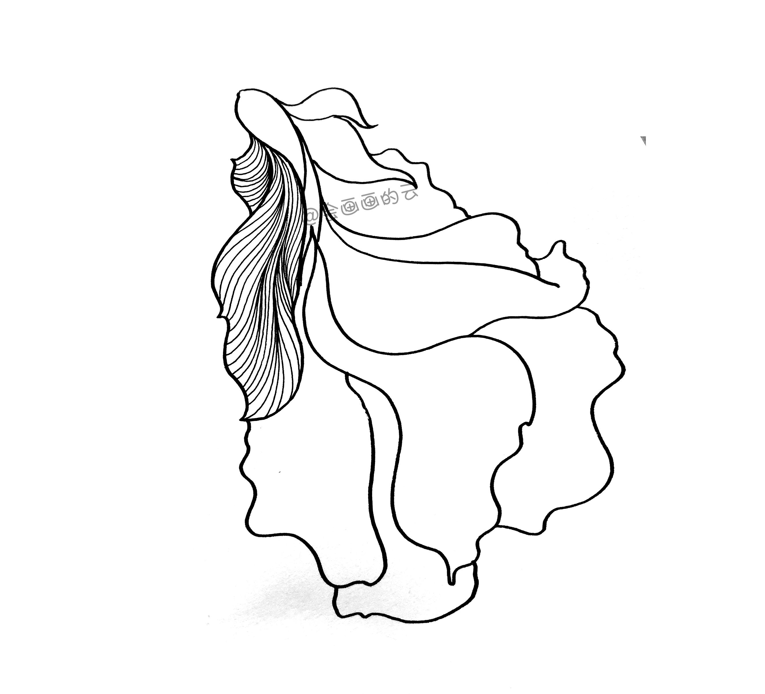 3款简笔画金鱼，零基础也可以画的线描画