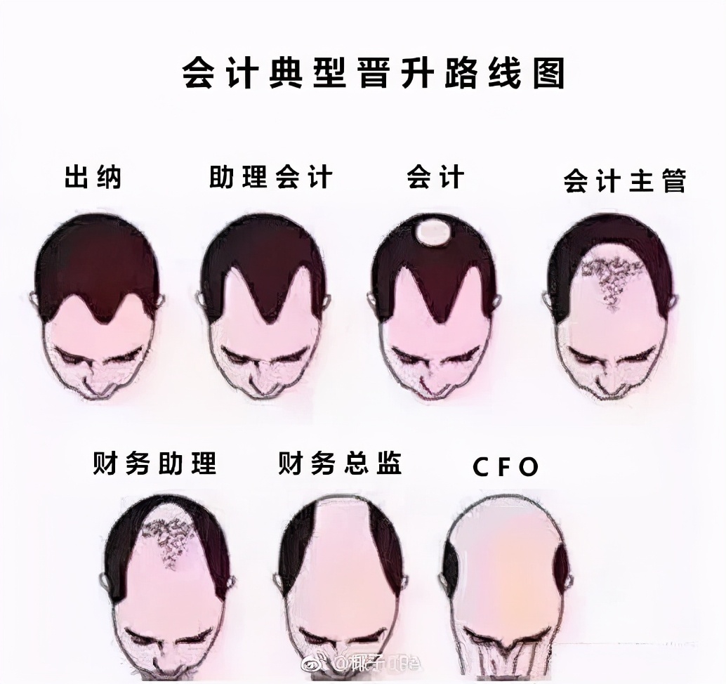 20—50岁，会计人职业晋升路线图