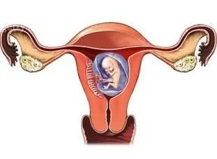 人流和药流哪个更好？教你怎么把伤害降到最低