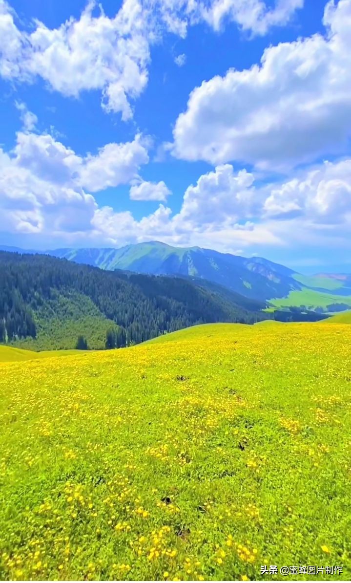 绿色护眼壁纸背景图, 无论去哪沿途都是风景