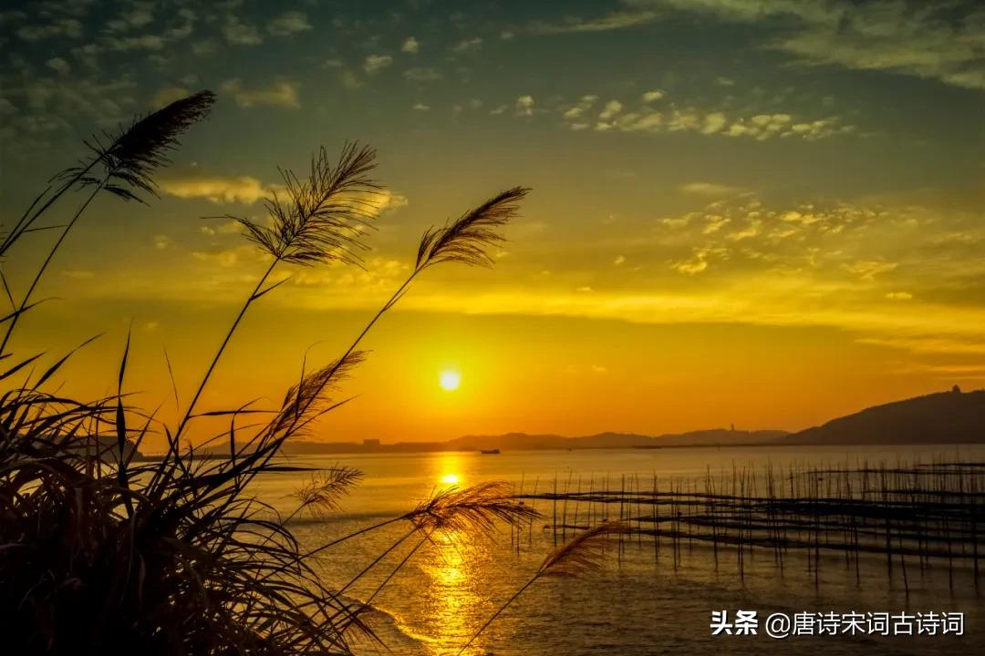 夕阳无限好，犹能灿长天