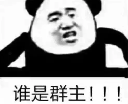 你们这是什么群啊