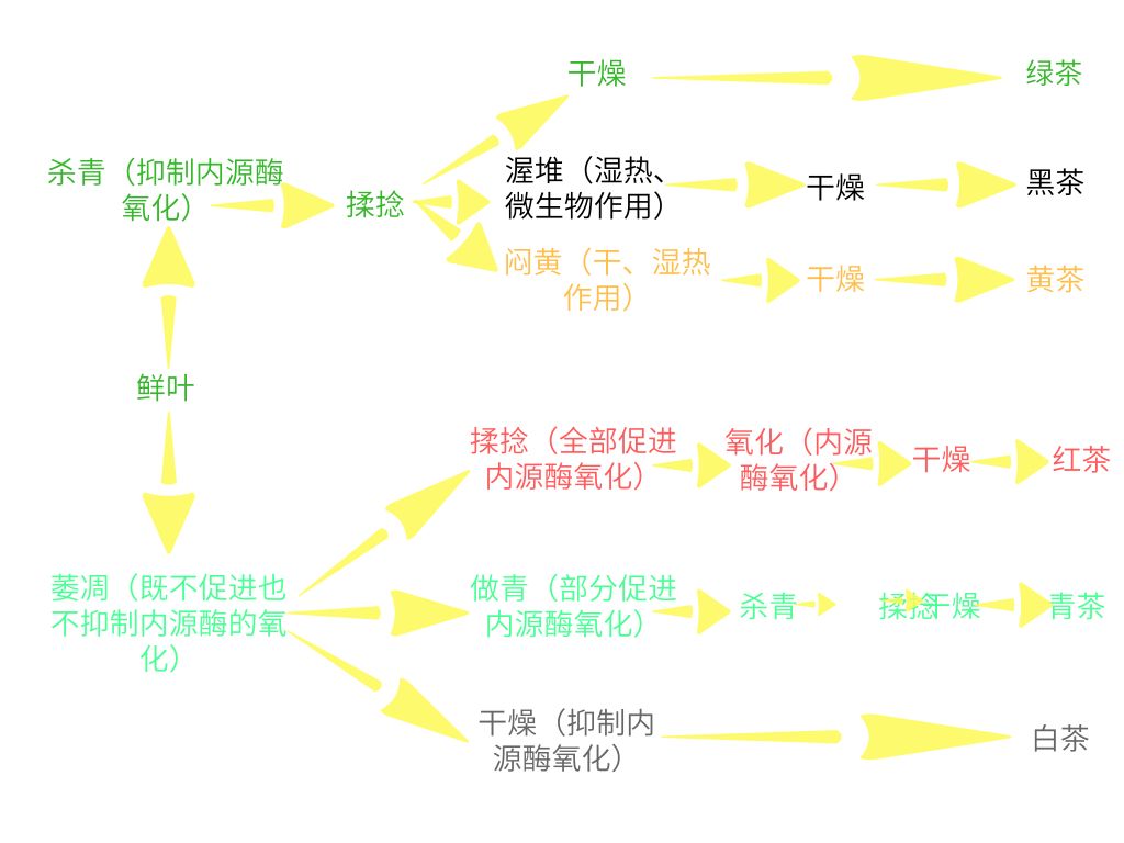 大揭秘！绿、白、黄、青、红、黑，这么多茶怎么分？