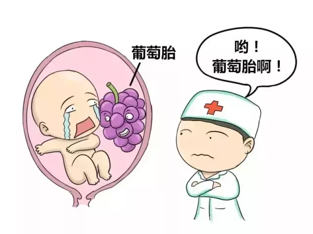 什么是葡萄胎