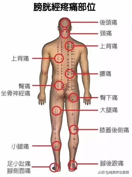 内脏位置图(五脏六腑疼痛区域高清图，生病了该按哪里，标得一清二楚，超实用)