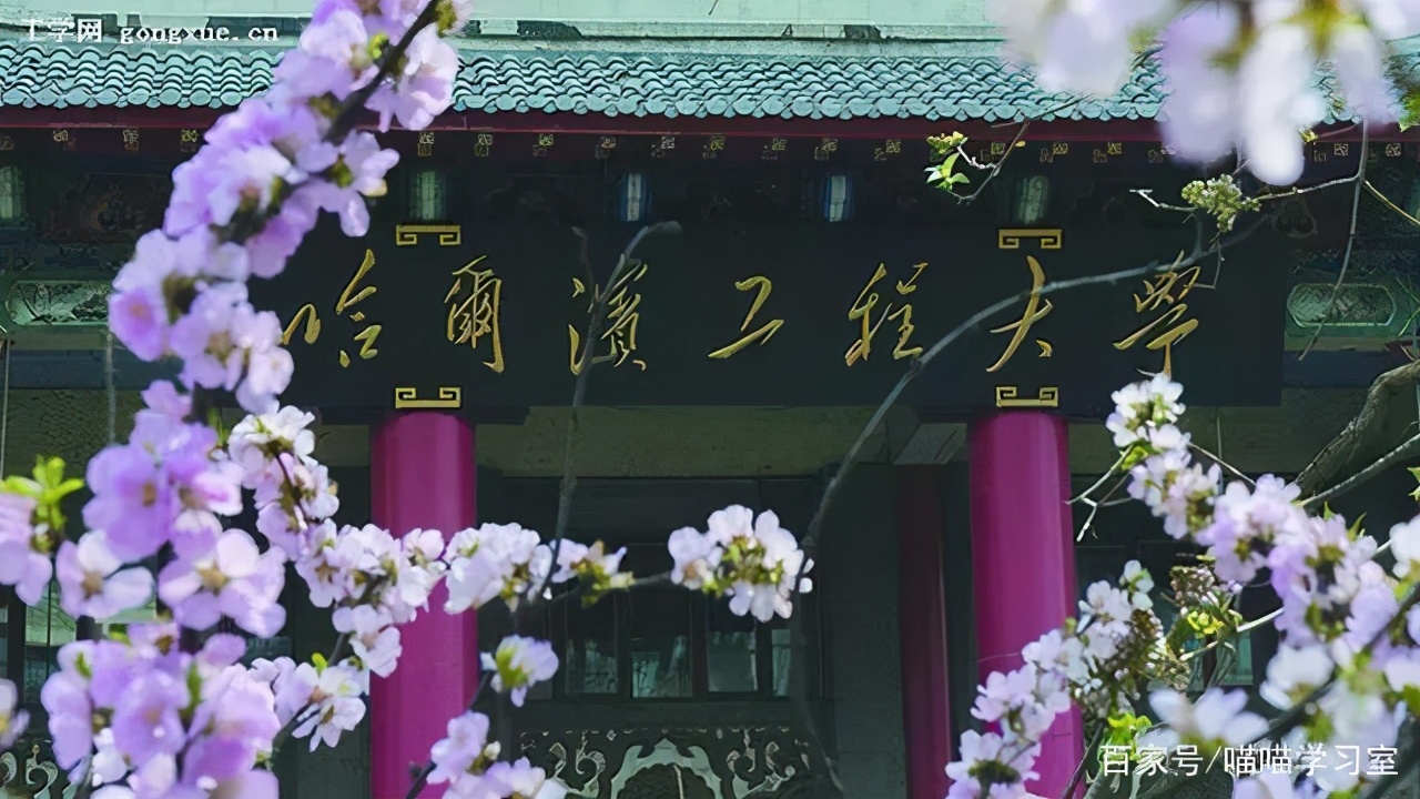 名字像“亲兄弟”的几所大学，哈工大还是哈工程？报考需谨慎