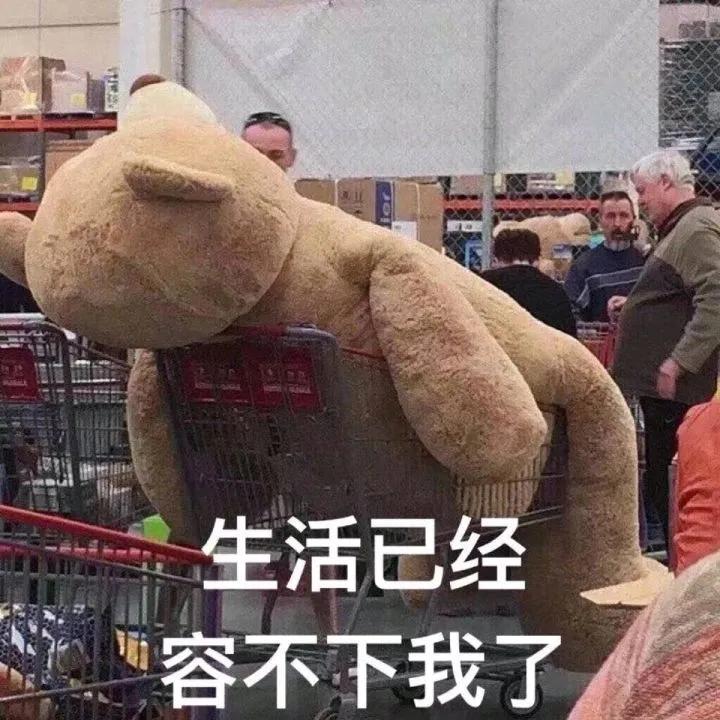 广西大学考研：会计硕士2020年考研招生人数、复试调剂情况分析