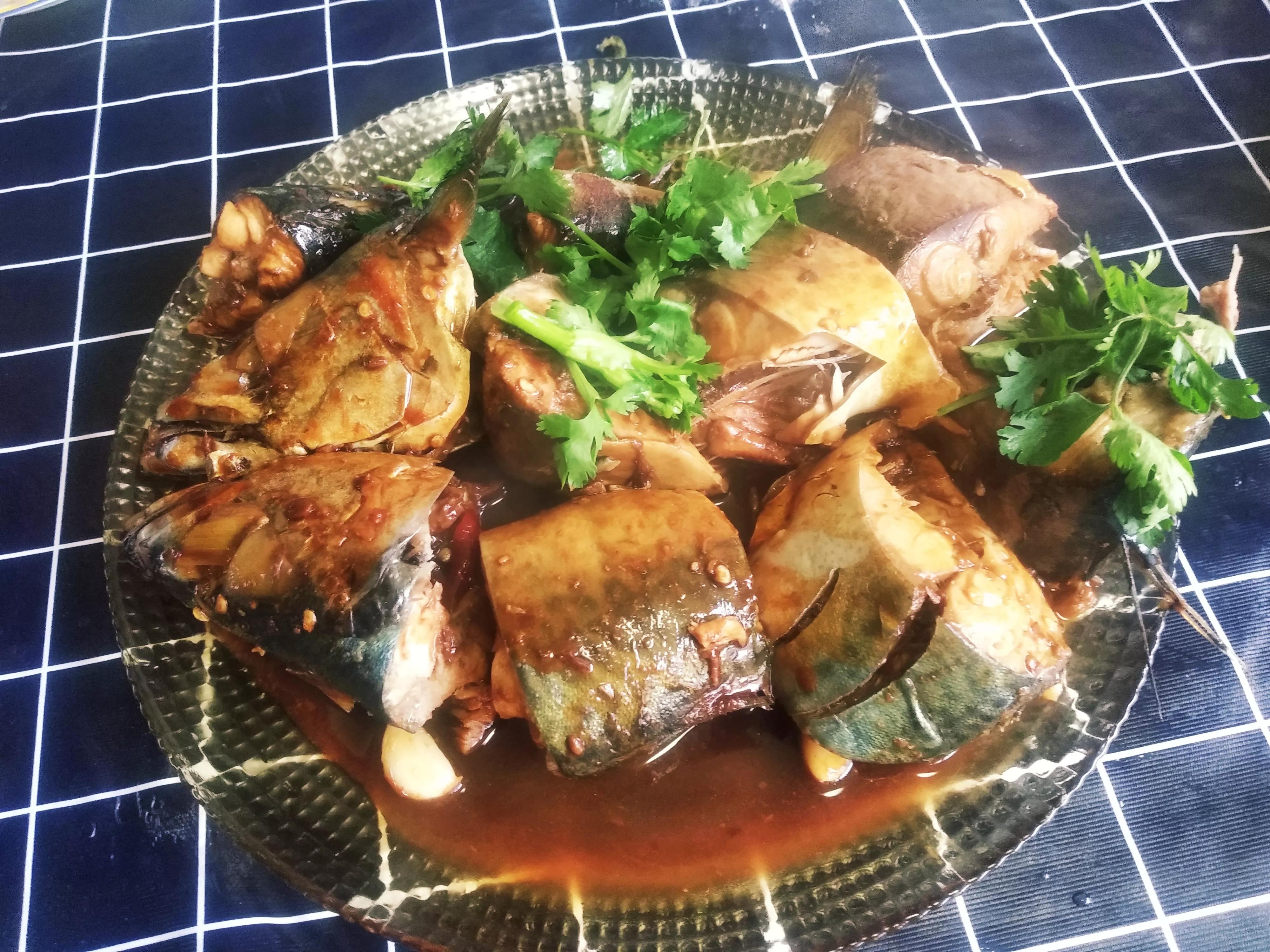 海魚的種類圖片,海魚種類名稱圖片大全