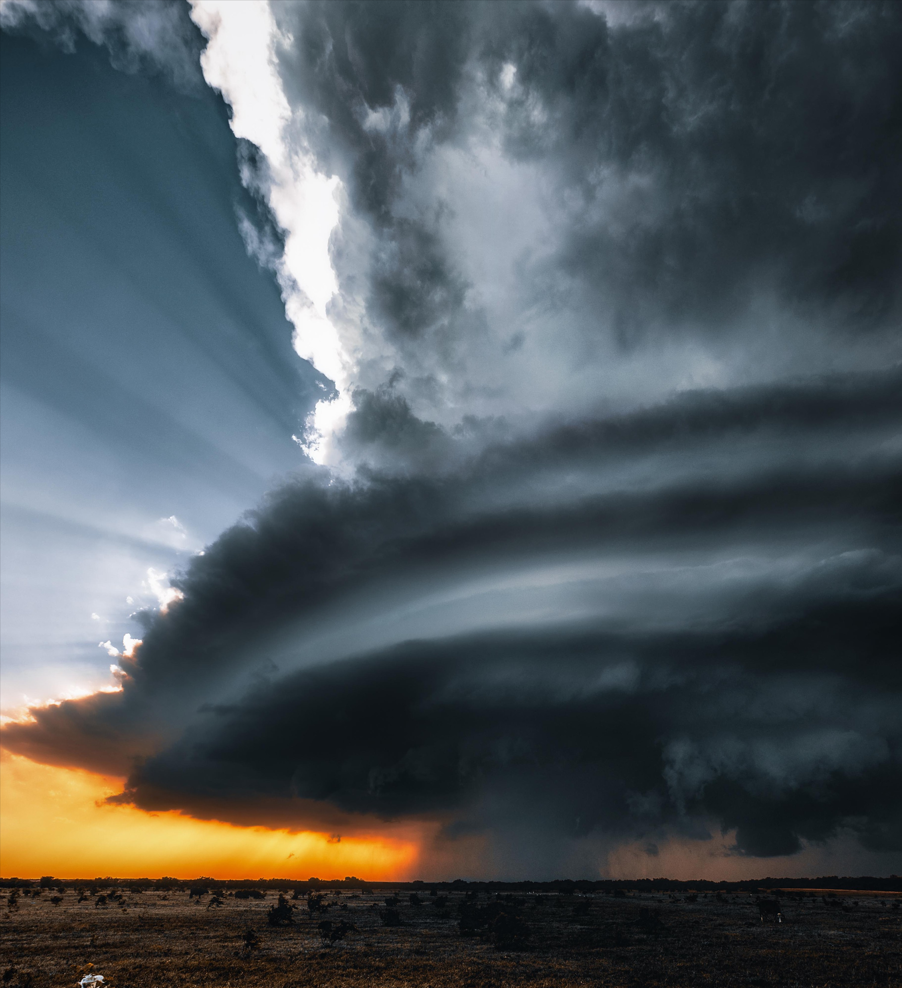 小学语文知识：含有“云”的成语