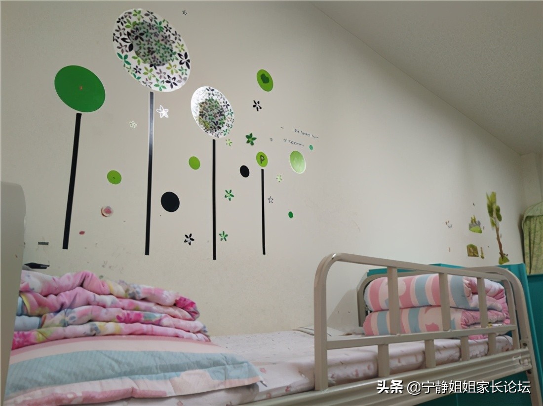 高性价比、高摇中率！备受好评的6所老牌民办学校解读