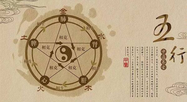 中医入门必须理解的五脏六腑功能特点！