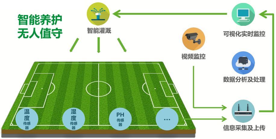 足球比赛开始为什么要摸草地(光明正大的“盘外招”科普一下世界足坛的草坪系统科技)