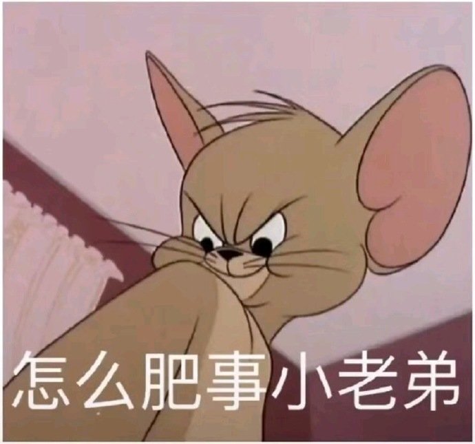 猫和老鼠表情包合集｜怎么肥事小老弟