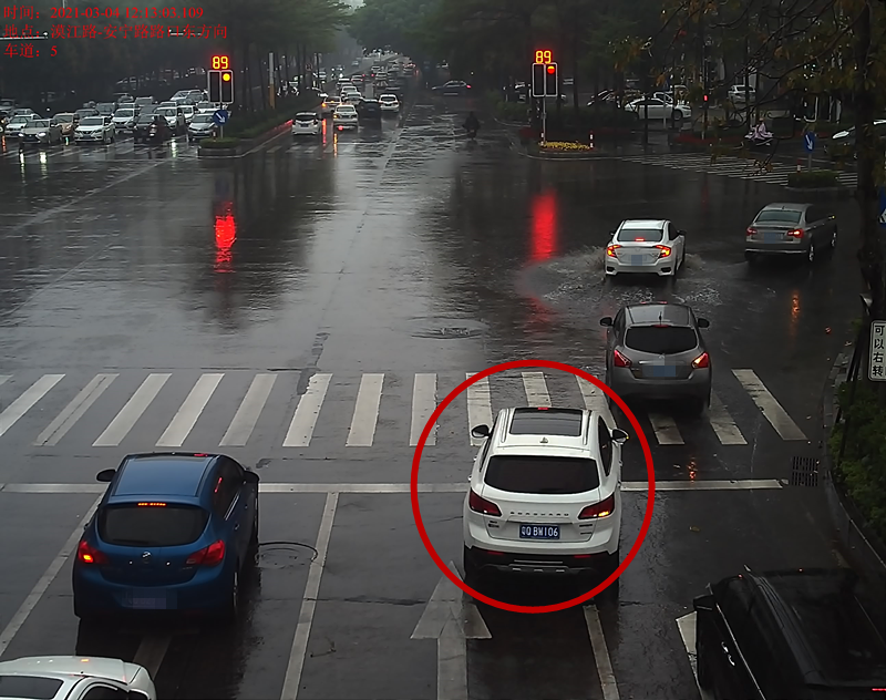 交通违法曝光！