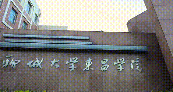 聊城大学东昌学院2020本科招生专业26个，专科6个，新增1个专业