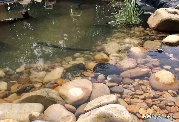院子里应该有个小池塘，没有就自己动手挖个！（附实际操作图）