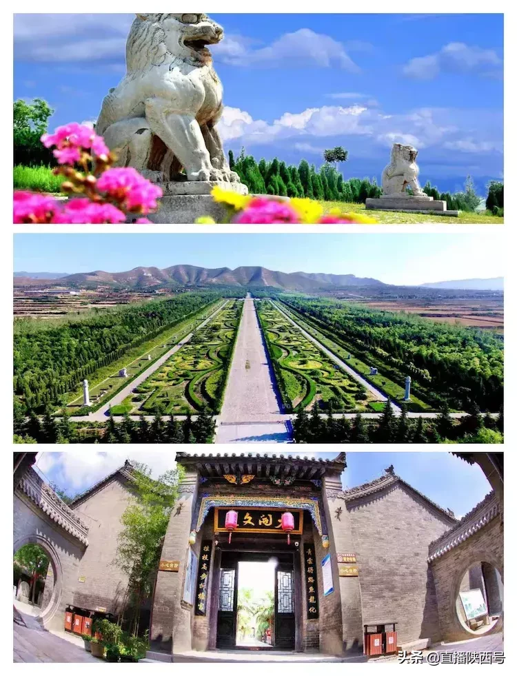蒲城县吟心琴道馆,非遗文化“梅庵派”古琴精品班您知道吗?