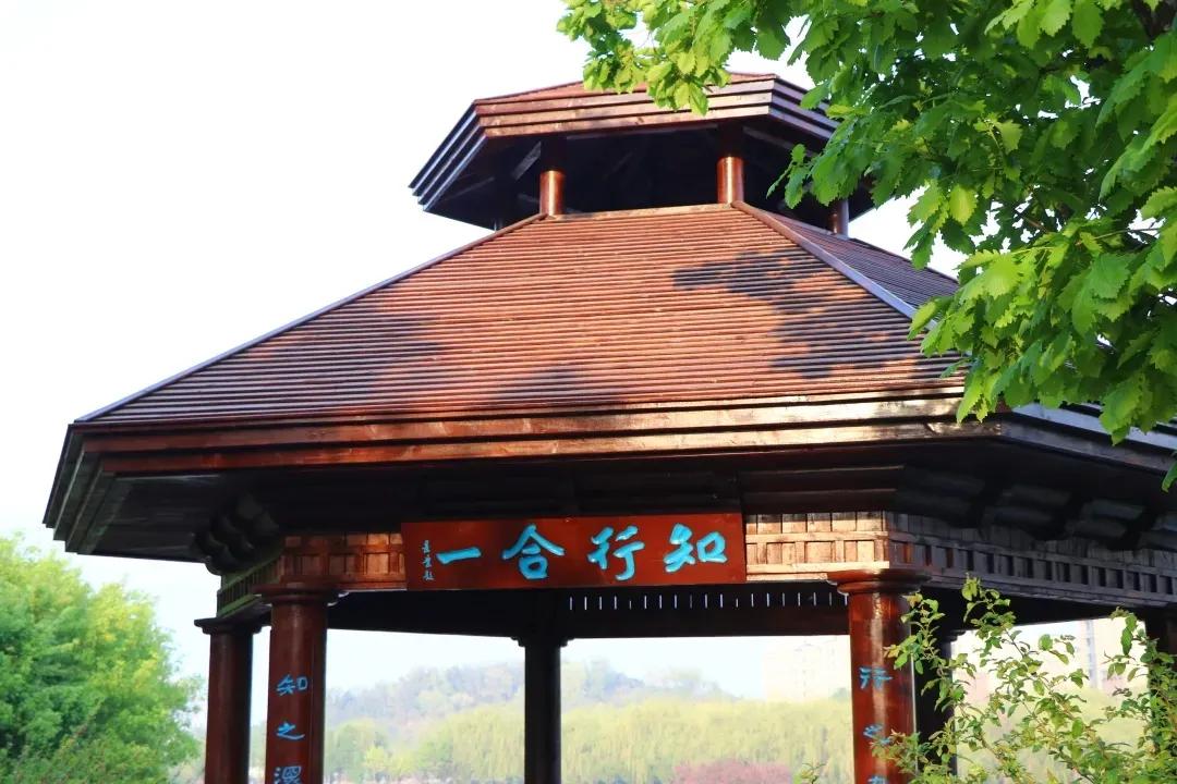 我校2021年公开招聘高层次和急需紧缺人才招聘公告（第一批）