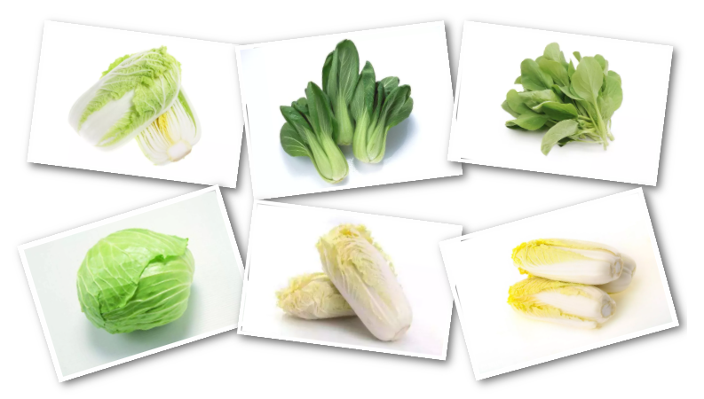 青菜与油菜的中医功效与区别油菜和上海青的区别功效