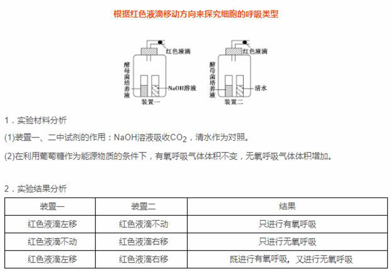 呼吸作用的公式（高中生物“呼吸作用”图示及解析）