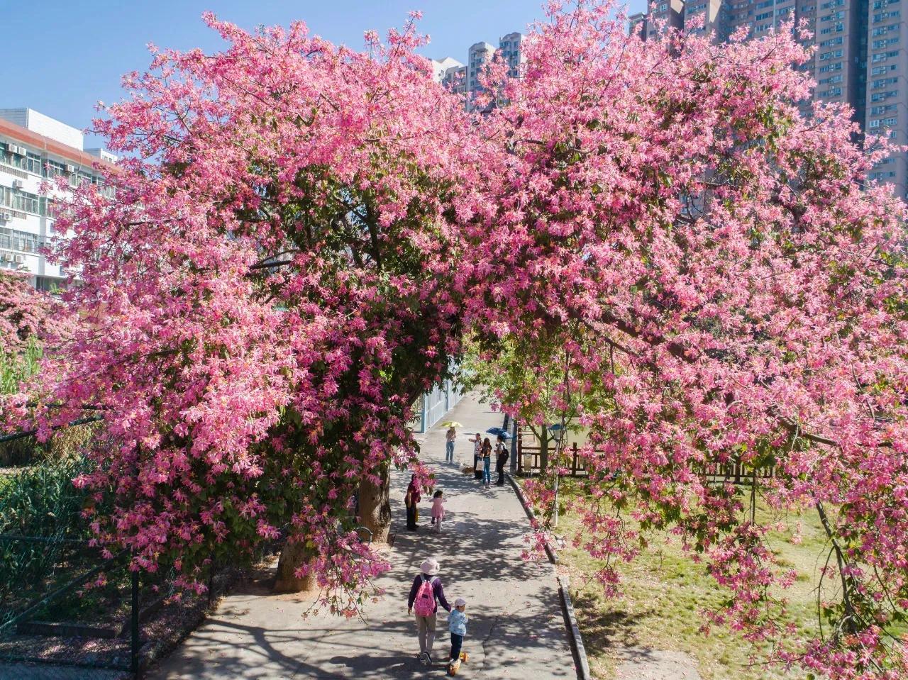 广东2021高考已公布的12项考试时间/考点/准考证打印时间