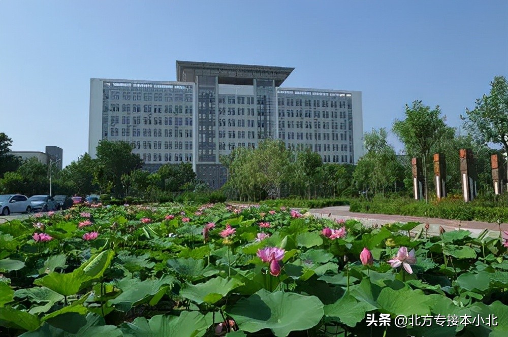 沧州师范学院：招生比2020年招生减少了200人