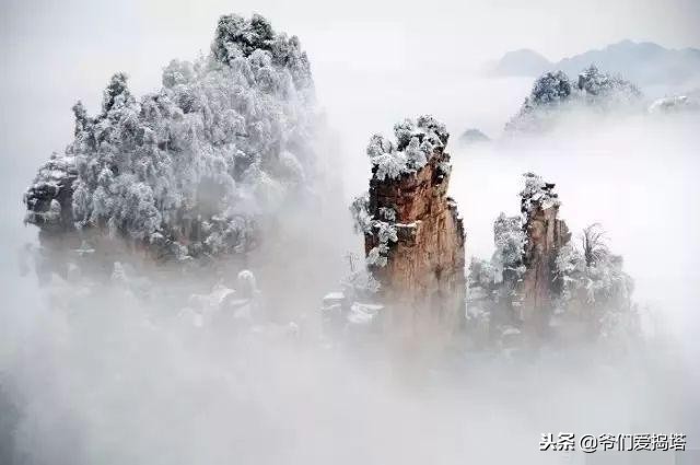 红墙，白雪，琉璃瓦，大雪压青松