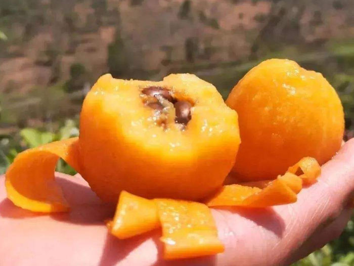 枇杷应该怎么挑？牢记这3点，买回家保证好吃籽又小，一挑一个准