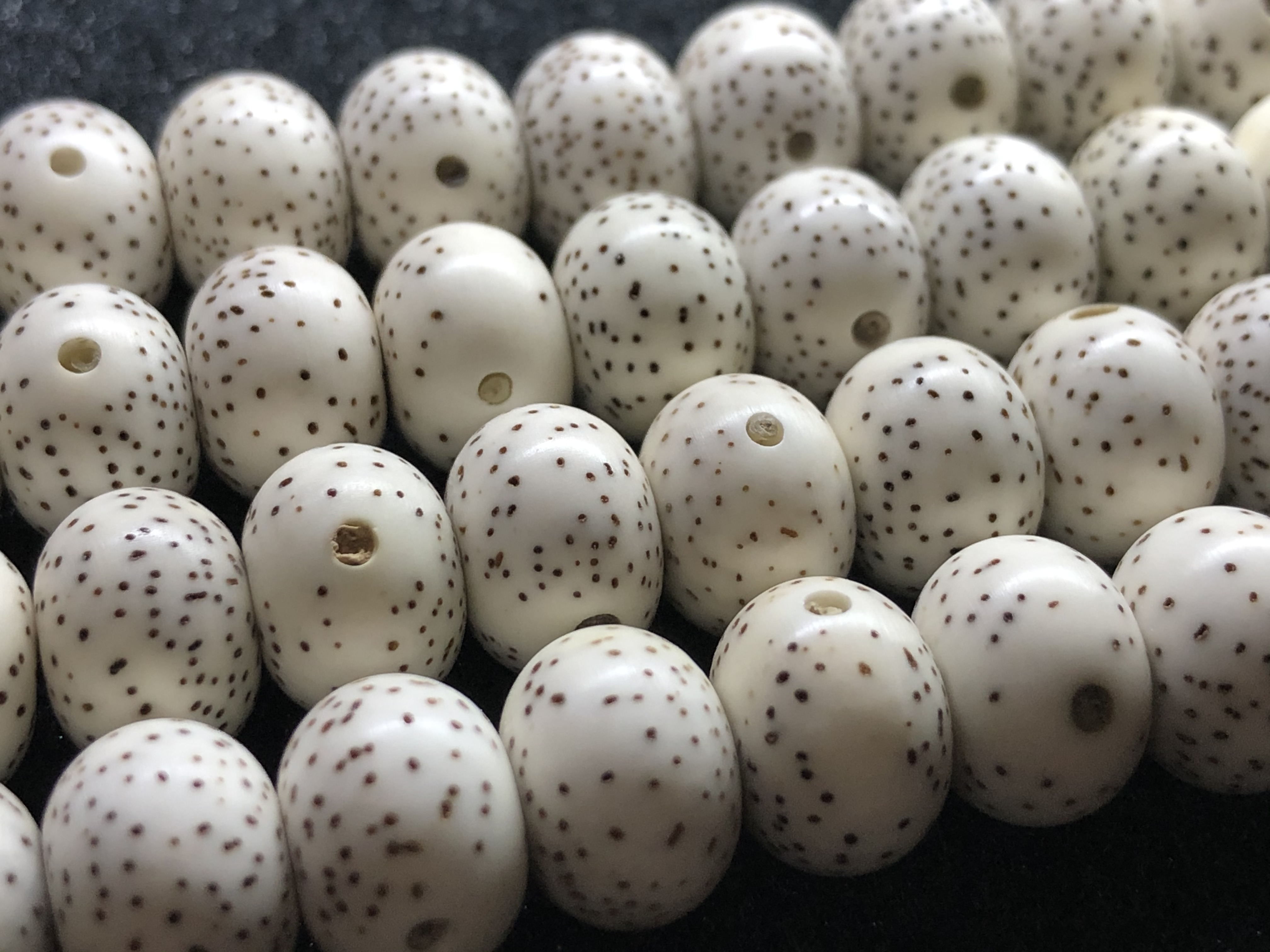 星月菩提什么样的品相好(新手如何挑选星月菩提?) 第5张